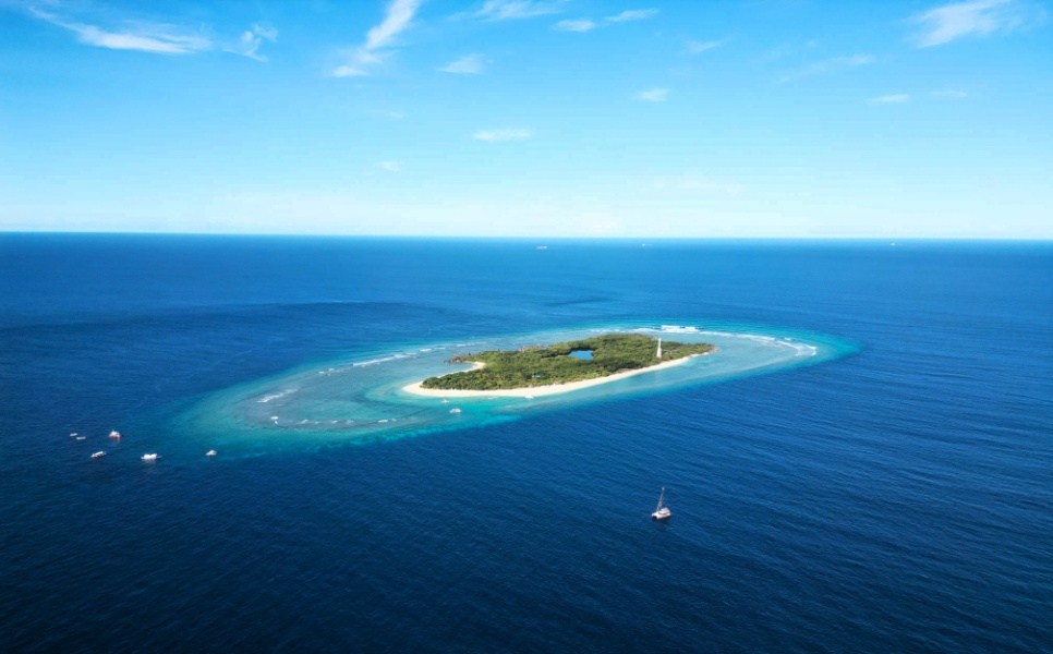 Apo Reef Cruising with LXV (7)